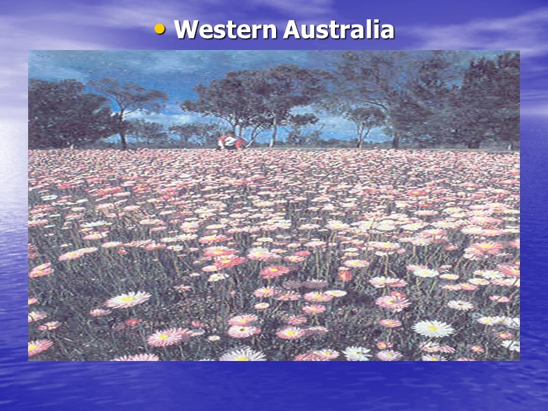 Western Australia